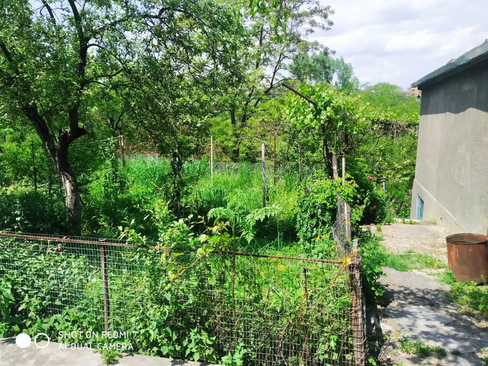 Земельный участок — фото 3